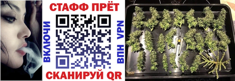 Купить закладку Вейп ТГК  МЕФ  Псилоцибиновые грибы  Cocaine  Марихуана  A PVP  Ивдель