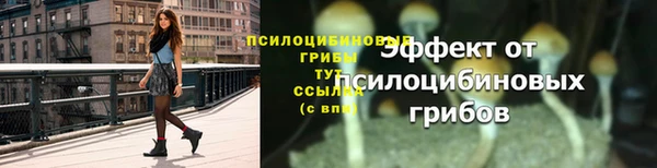 ALPHA PVP Зеленокумск