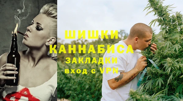 ПСИЛОЦИБИНОВЫЕ ГРИБЫ Заволжье